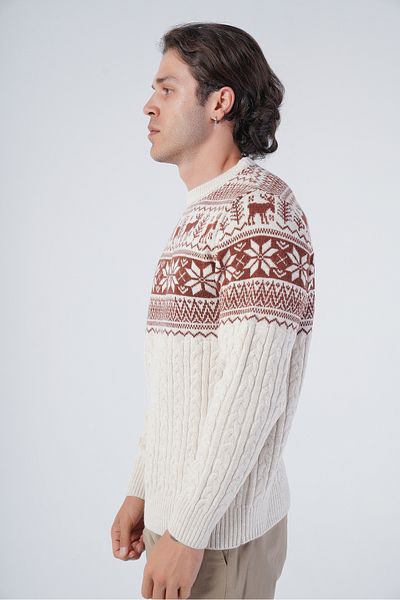 Trist Star Beige Men's Hair Braided Jacquard Deer Patterned Crew Neck Knitwear Wool Sweater