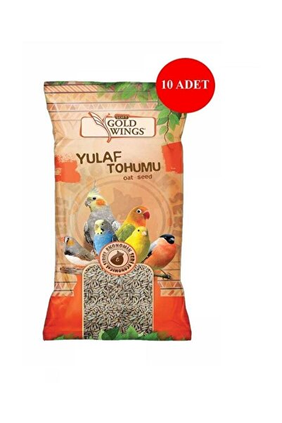 Gold Wings Kuş Tamamlayıcı Ek Besin Yulaf 300 gr x 10 Adet