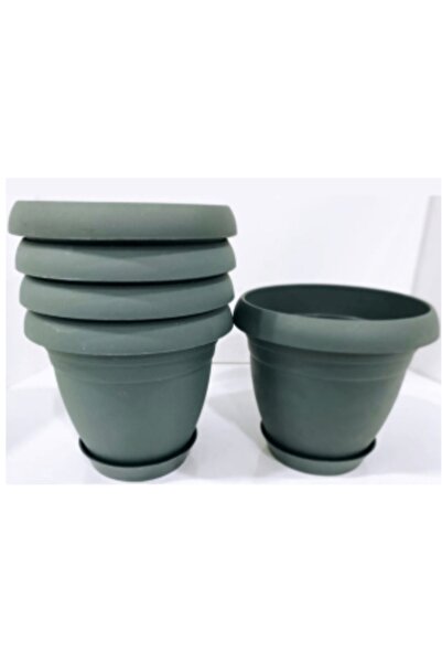 seazde Poliwork Nergiz 1,5 Litre Tabaklı Saksı 5 Adet