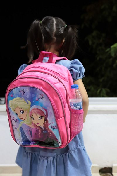 Elentra Orthopedic Girl's Primary School Bag - with Lunchbag and Back Support