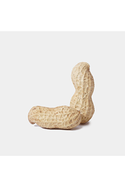 Çerez Ağacı Fıstık Kabuklu Özel Çiğ 250 gr