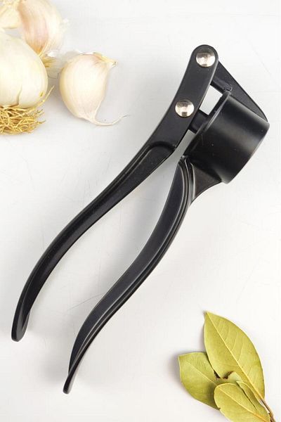 Digithome Steel Garlic Paste Black – Thn75743 C1-1-18