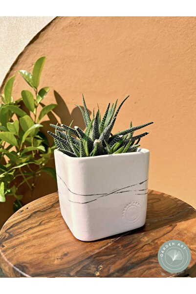 Garden Art El Yapımı Minimal Desenli Kare Formlu Seramik Saksı 11 cm