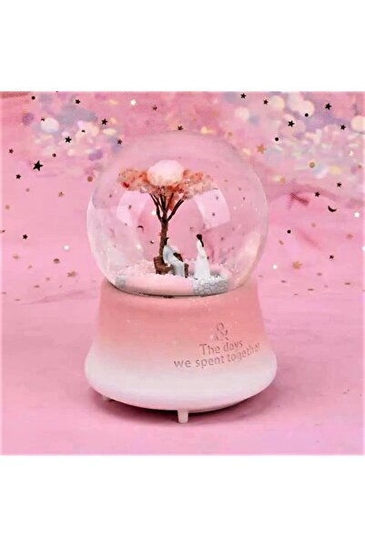 Özen Avm Romantik Aşıklar Orta Boy Müzikli Işıklı Kar Küresi