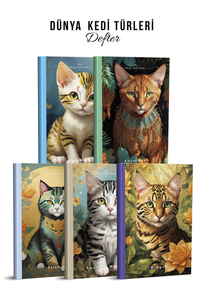 YAPAY ZEKA SANAT Livrare în pisică zile Caiete Set de 5 1-2