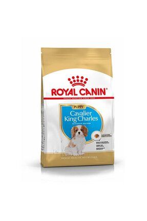Royal canin king charles junior outlet