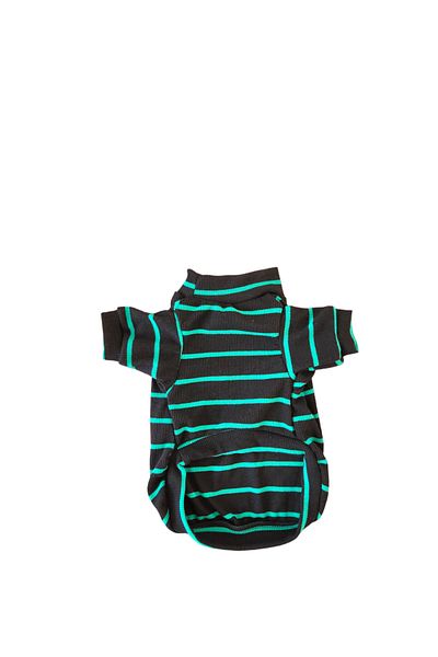 atelyu cat dog clothes striped high-top sweater