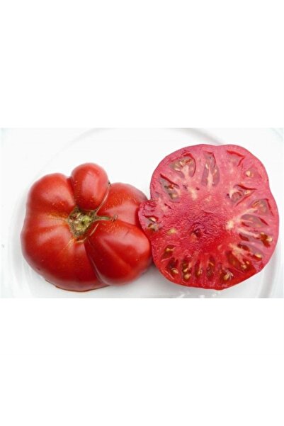 Sebze Meyve Dünyası Çanakkale Domatesi (KG)