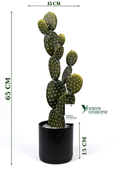 YAPAY ÇİÇEKÇİNİZ Taş Kaplı Siyah Saksısında Yapay Texas Kaktüs