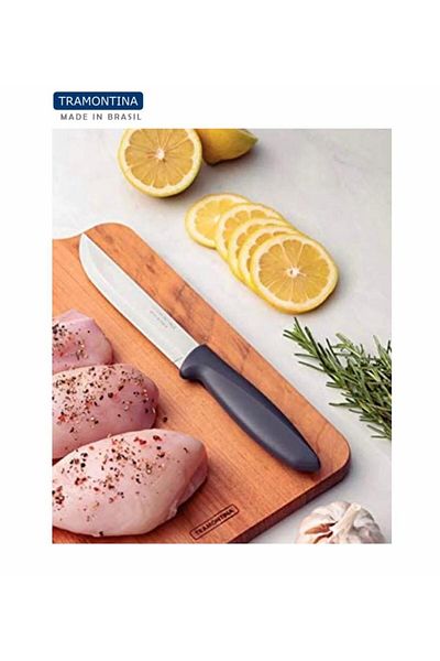 TRAMONTINA 2 Pieces - 22.5cm Laser Fruit Knife-red