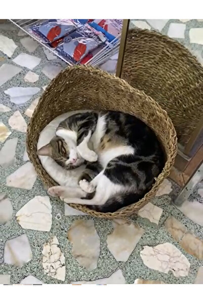 KMAİ Hasır Kedi Köpek Evi 45x35cm