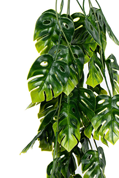 YAPAY ÇİÇEKÇİNİZ Yapay Dekor Sarmaşık