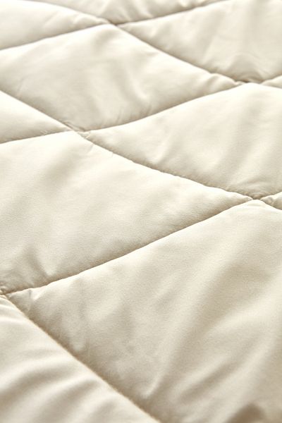 Sarah Anderson Grimes Beige Double Microfiber Quilt