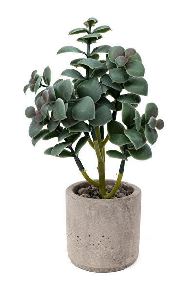 YAPAY ÇİÇEKÇİNİZ Τεχνητός κάκτος σε γλάστρα από σκυρόδεμα