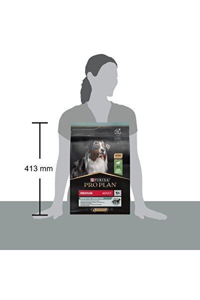 Purina Köpek Maması Orta Irk Yetişkin Köpek Maması Kuzu Etli 3 kg