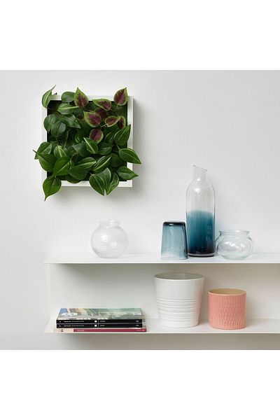 IKEA Fejka Τεχνητό Φυτό 26 Χ 26 Εκ. Εσωτερικό/Εξωτερικό Πράσινο