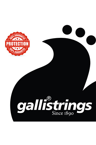 gallistrings Galli Ra1152 Light Special، سلسلة جيتار صوتية، سلسلة جيتار