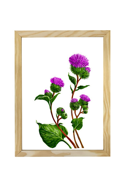 Dekorsiahome Tablou decorativ cu arici, într-o singură bucată, cu ramă din lemn