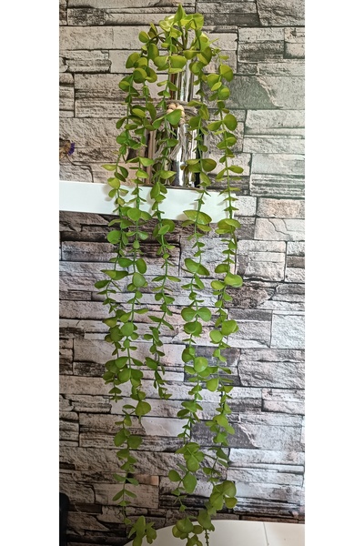 mucizevim Dischidia nummularia yapay sarkıt, Nickels suculent sarkıtı, yapay sarmaşık doğal görünüm 90 cm