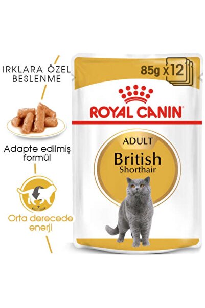 Royal Canin British Shorthair Yetişkin Kedi Konservesi 85 Gr.x12 Adet