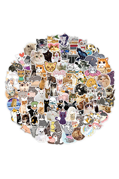 Bluoksweet 10 adet kedi çıkartma sticker çocuk erkek kız notebook defter bilg...