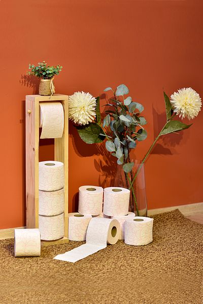 Grootland Wooden Toilet Paper Holder with Spare Chamber