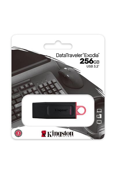 Kingston Data Traveler Exodia 256gb Usb Memory Dtx/256gb