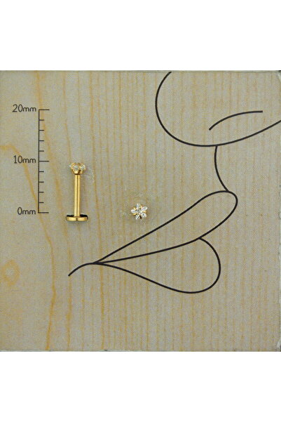 Abuksubukşeyler Cerrahi Çelik Yıldız Zirkon Dudak Piercing 3 Mm