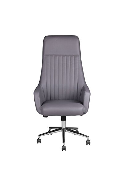 Herkese Mobilya Comfort Plus Gri Deri Makam Koltuğu