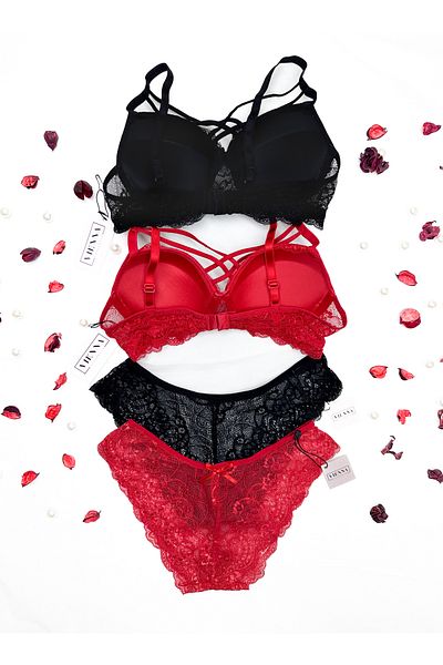 Vienna Underwear Women's Black-Red Padded Lace Underwire Bra Set of 2 - Dowry Package - Gift - BOXED