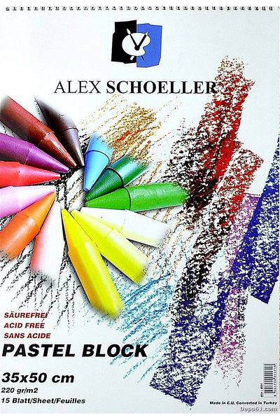 Alex Schoeller Alex Pastel Art Fund Block - 15 Pieces 220 Grams 35*50 Cm Alex-851
