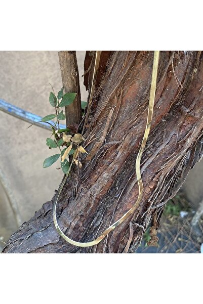 DİLEK KUYUMCULUK 3MM balıksırtı ezme zincir