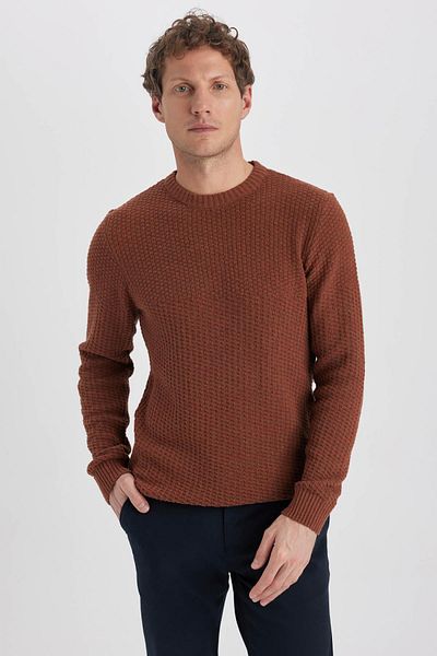 DeFacto Πλεκτό πουλόβερ Standard Fit Crew Neck