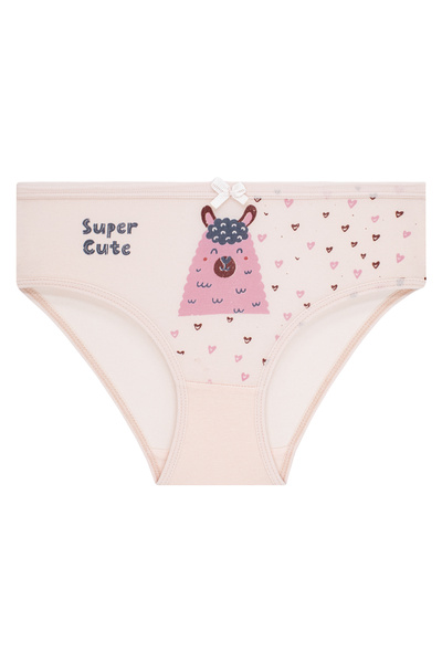 biyokids Kız Çocuk 5'li Paket Renkli Slip Külot