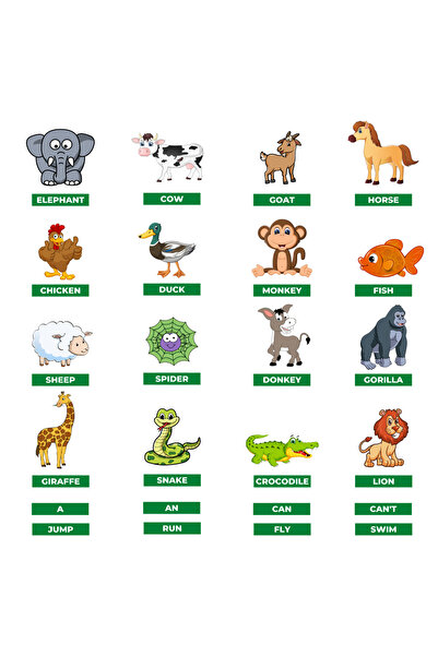 MUTLUTECH 3D 2. Sınıf İngilizce 10. Ünite Animals Mıknatıslı Keçe Seti