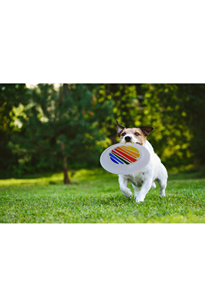 eser plastik الفريزبي