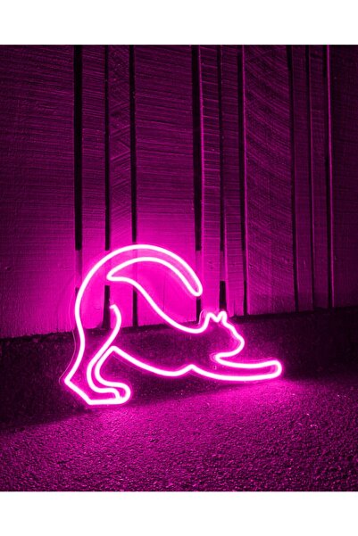 Kedi Neon Led