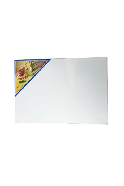 Feyza %100 Pamuk Öğrenci Işi Kampanyalı Yandan Zımbalı 35x50 Resim Tuval % 10...