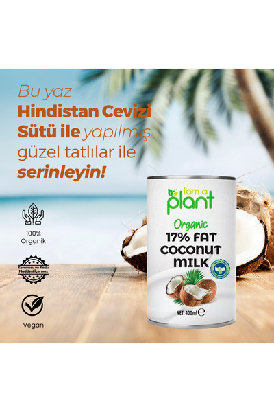 Güzel Ada Gıda Organik Hindistan Cevizi Sütü 400 ml