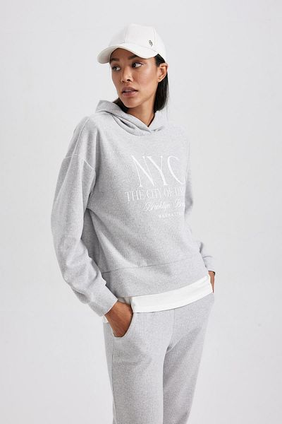 DeFacto Regular Fit Hooded Sweatshirt B2606ax23au