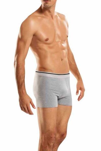 Berrak Ανδρικό γκρι διαφανές ελαστικό ύφασμα Boxer 3-pack