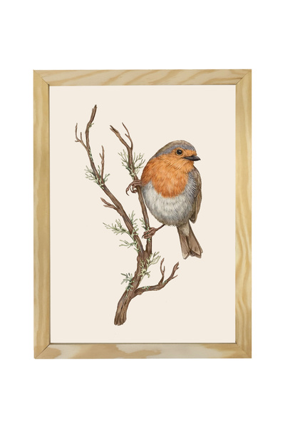 Dekorsiahome Ahşap Çerçeveli Robin Kuşu Tablosu