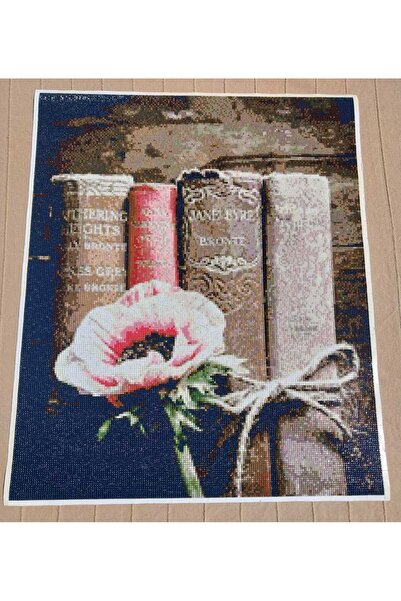 nilonun atölyesi Kitaplar Kristal Boncuk Tablo 46x56 Cm. (İŞLENMİŞ HAZIR HALDE)