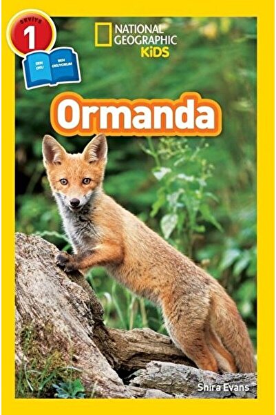 Beta Kitap Ormanda - Seviye 1 / Shira Evans / Beta Kitap / 9786052429839