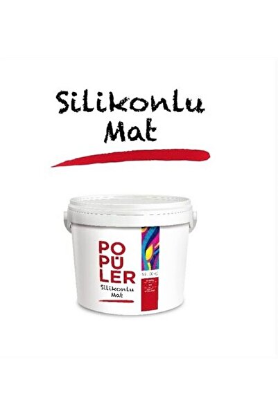 Polisan Popüler Silikonlu Plastik Mat Duvar Boyası