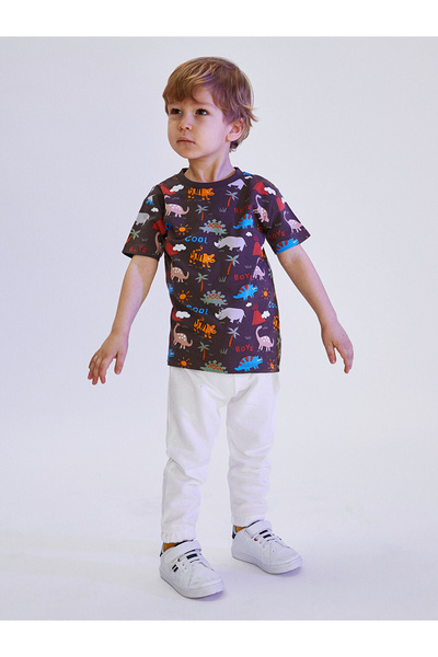 LC Waikiki baby Bisiklet Yaka Kısa Kollu Baskılı Erkek Bebek Tişört