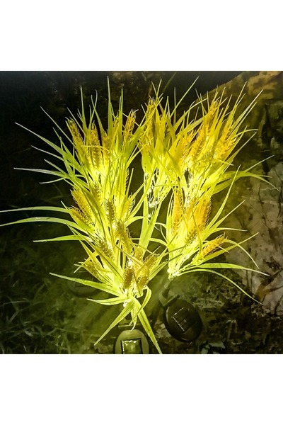 gaman Veranda Bahçe Lambaları Peyzaj Led Güneş ışıkları Bahçe Dekor Buğday Iş...