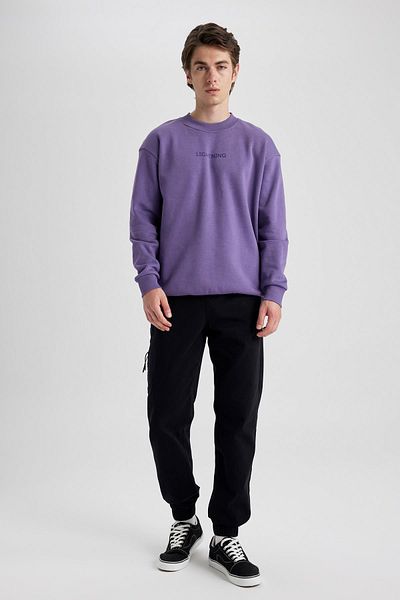 DeFacto Boxy Fit Crew Neck Printed Sweatshirt V5306Az23Au