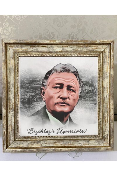 Dost Süleyman Seba Çerçeve 30/30