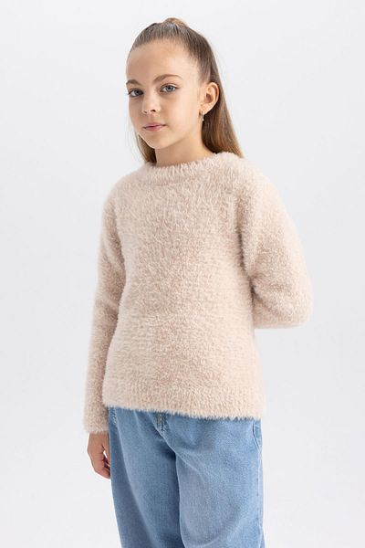 DeFacto Girl's Crew Neck Knitwear Sweater Y2640A623Wn